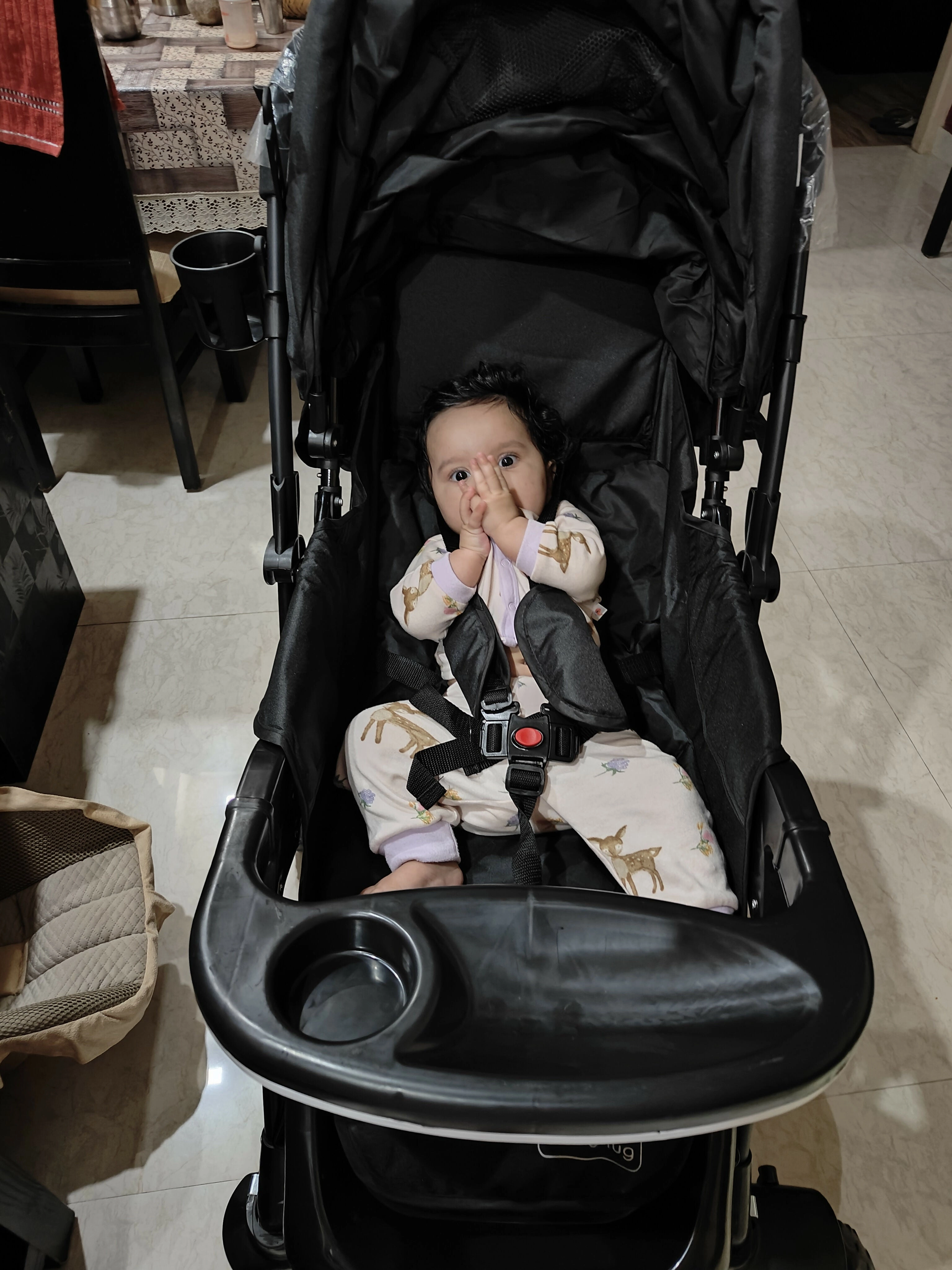 BABYHUG Melody Stroller/ Pram