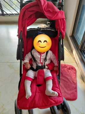 BABYHUG Wander Buddy Stroller/Pram for Baby