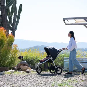 Bumbleride Indie All Terrain Strollers