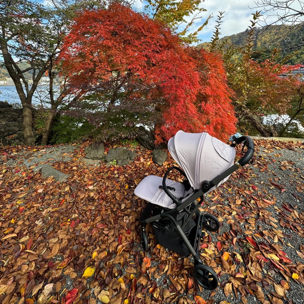 Daiichi The Space Compact Air Cabin Stroller (2025)