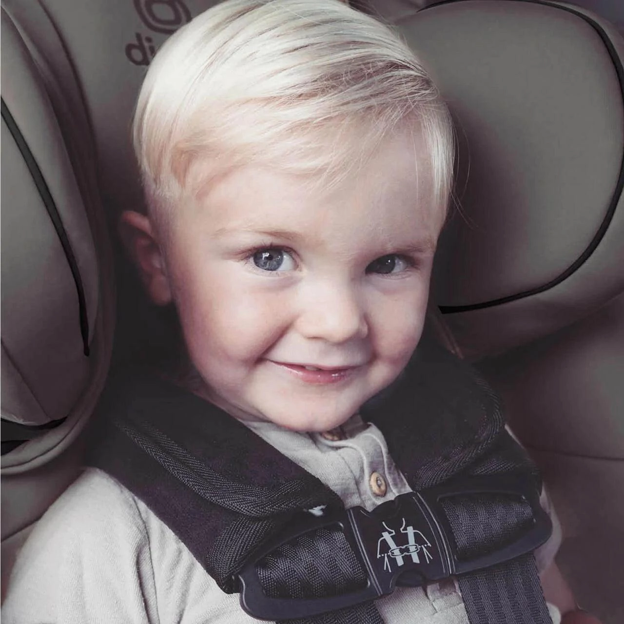 Diono Soft Wraps - Universal Harness Strap Covers