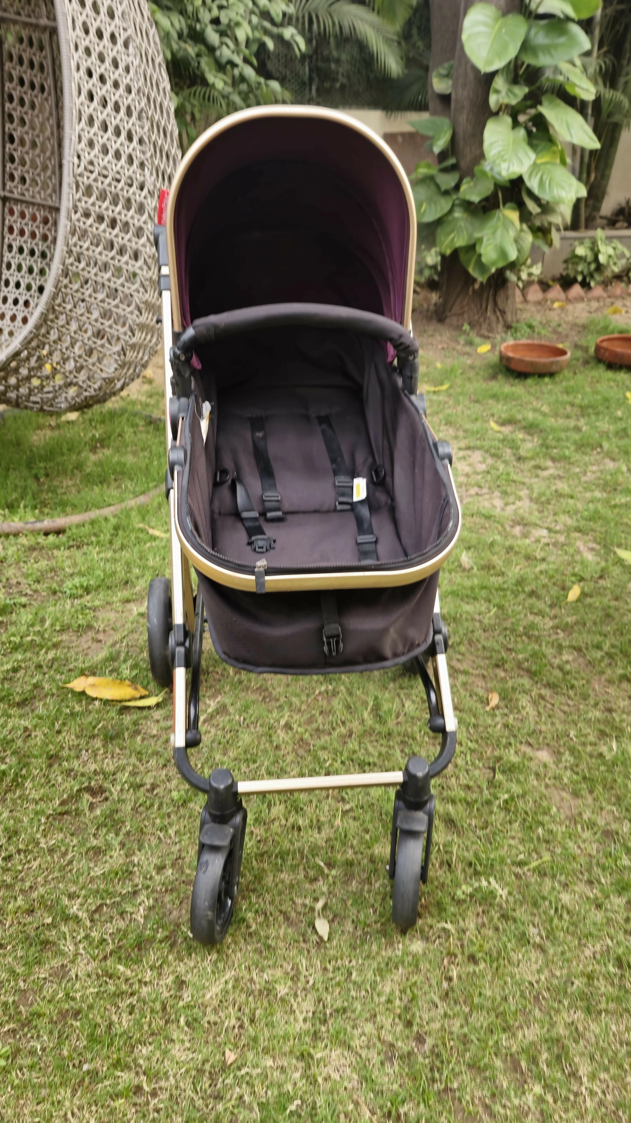 FISHER PRICE Hiker Luxury Stroller Cum Pram