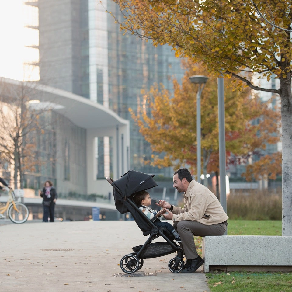 Nuna TRVL LX Stroller   Carry Bag
