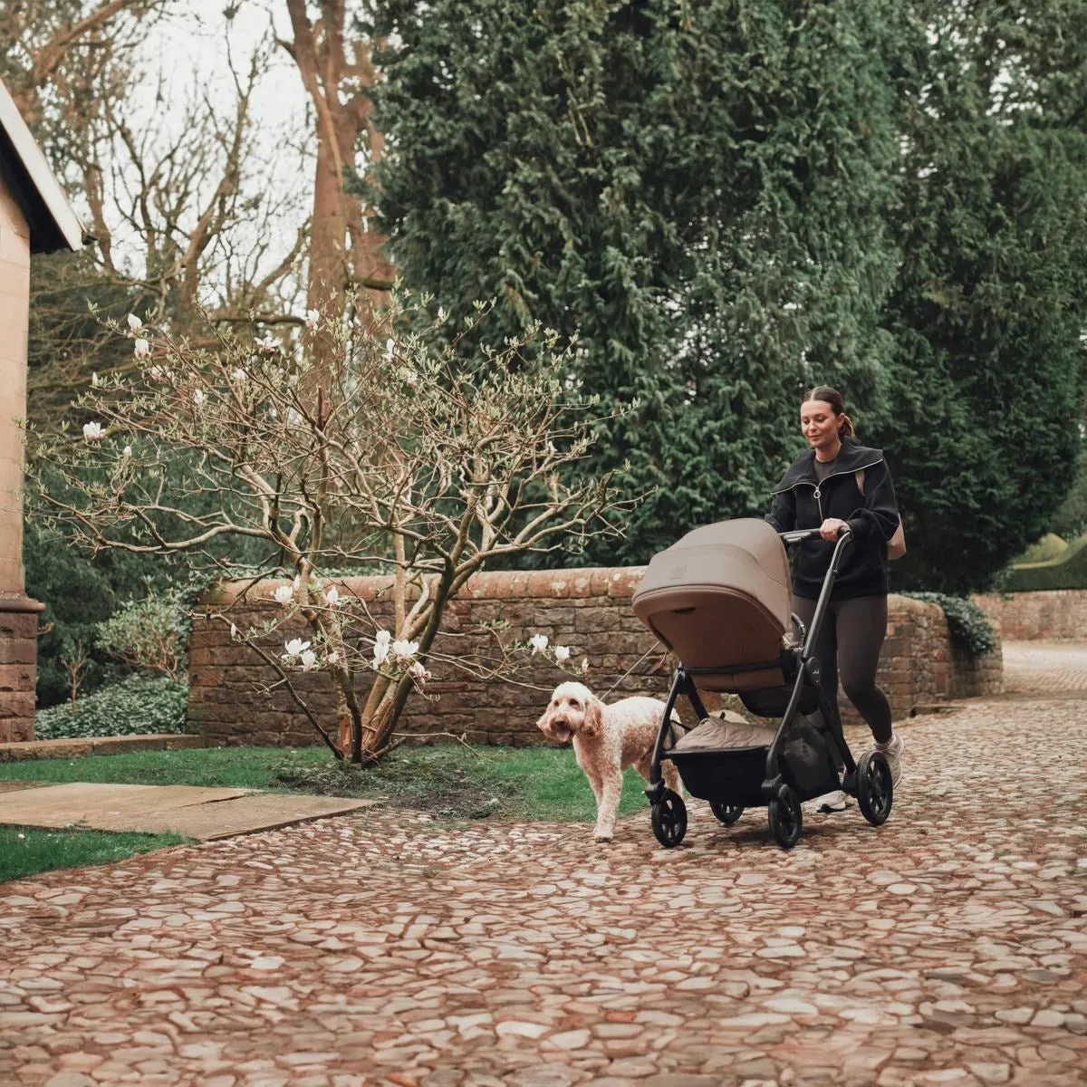 Silver Cross Reef 2 Travel System with Dream Car Seat