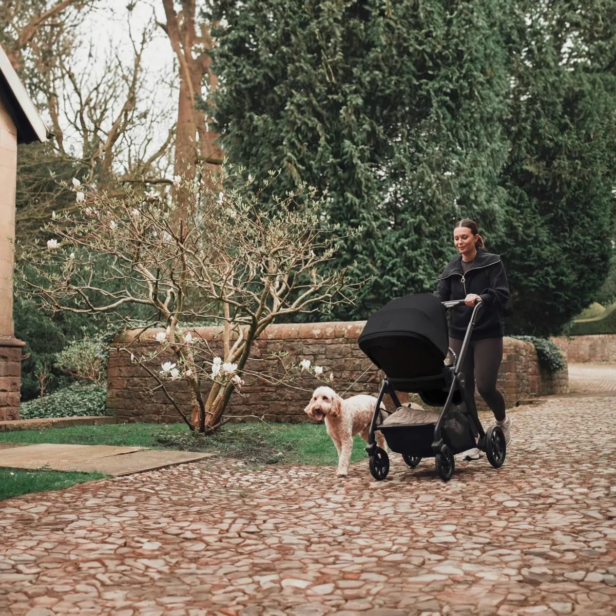Silver Cross Reef 2 Travel System with Dream Car Seat