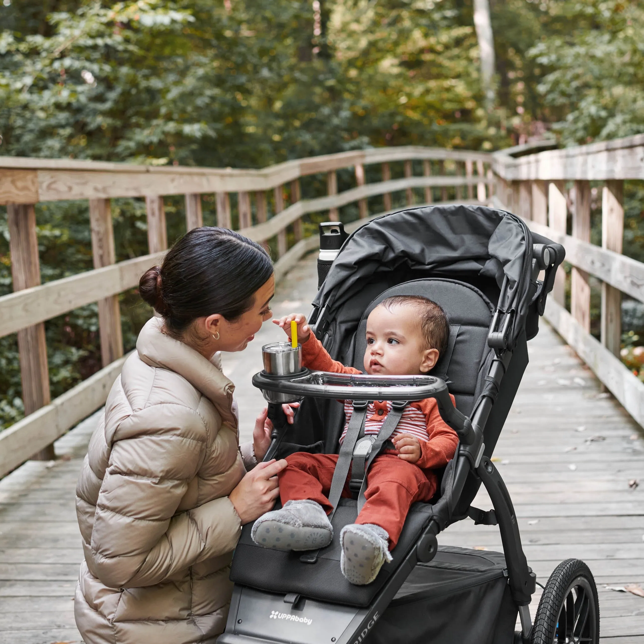 UPPAbaby Ridge Strollers
