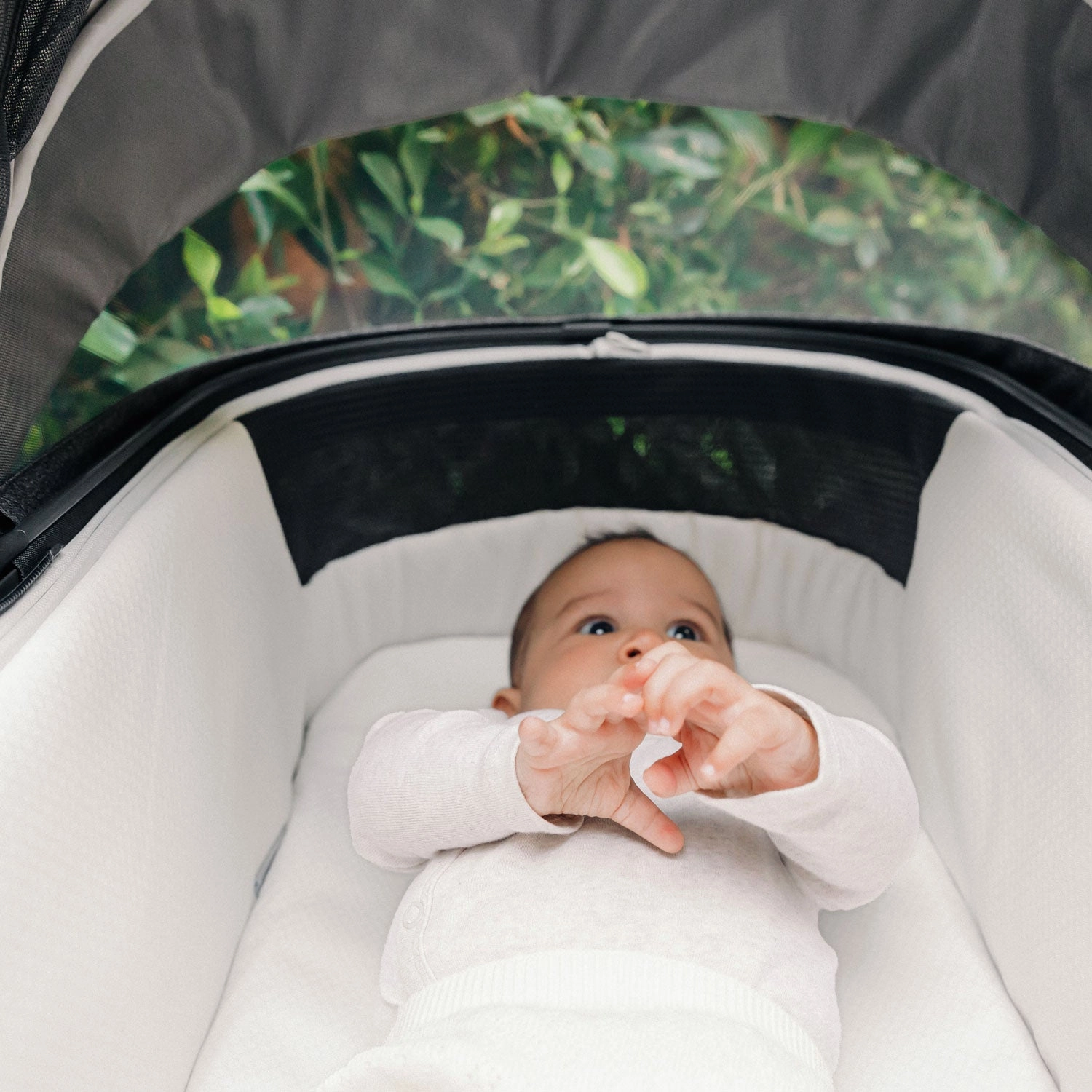 UPPAbaby Bassinet V3