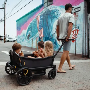 Veer All-Terrain Cruiser XL (backordered - estimated shipping in mid April)