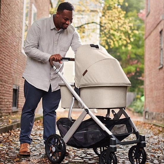 Vista V2 Stroller - Declan