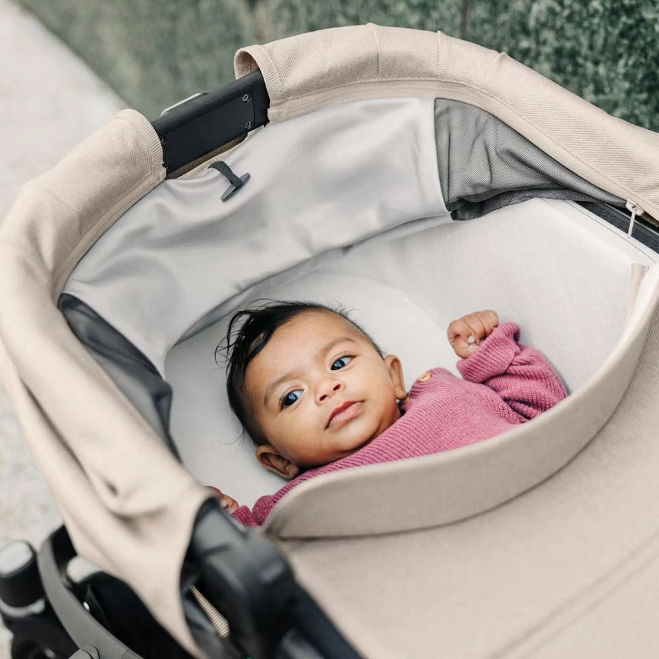 Vista V2 Stroller - Liam